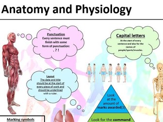 PE and Sport literacy mats