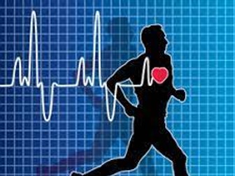 Cardiovascular System Flash Cards (AQA - A-Level PE)