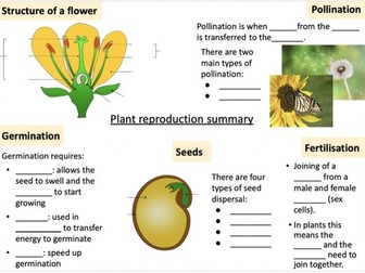 KS3 Plant Reproduction Summary Poster Activity