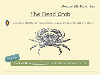 "The Dead Crab" by Andrew Young - Sea Themed Poetry, KS3 English