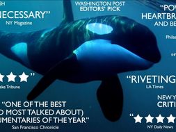 blackfish writing to argue