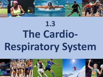 EDEXCEL A LEVEL PE FULL LESSONS Yr1 Chapter 3 - The Cardio-Resp system