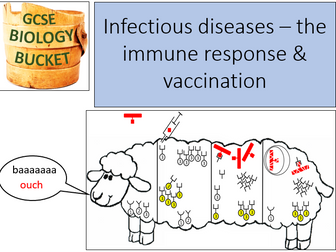 AQA GCSE Biology: Infectious diseases; the immune system & vaccination