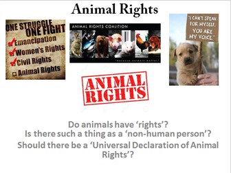 Animal Rights