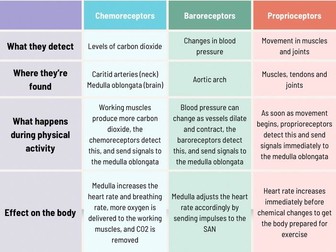 A-Level PE: Receptors