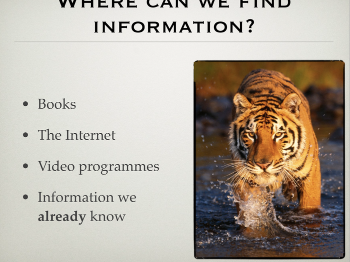 Non-Chronological Report Writing On Tigers - Years 3-5 | Teaching Resources