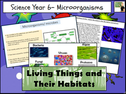 Science- Microorganisms Year 6 by ResourcesForYou | Teaching Resources