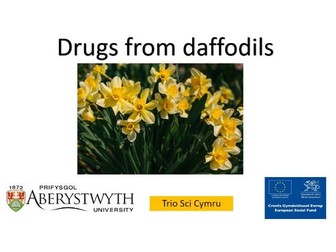 Drugs from Daffodils