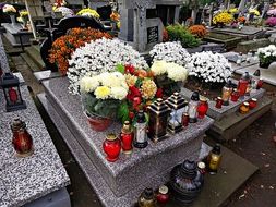 El día de los muertos Lectura Cultural ~ Day of the Dead Spanish Reading