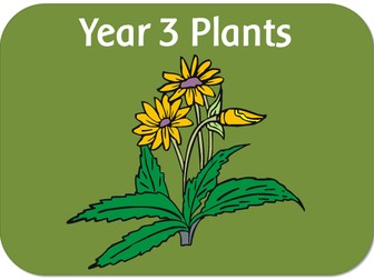 Year 3 science - Plants - powerpoints, worksheets, planning & display