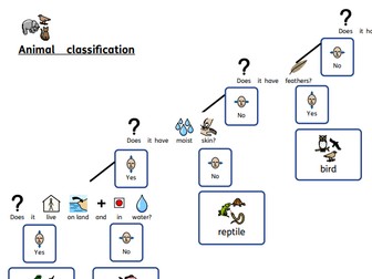 Simplified Animal Classification Key with Widgit Symbols