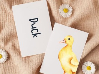 Farm Animal Flashcards | Visual Resource