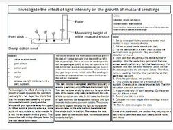 Plant Hormones Required Practical Knowledge Organiser | Teaching Resources