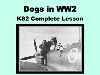 Lesson 2 - Dogs in WW2