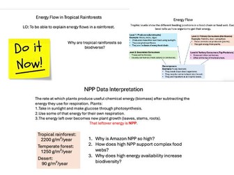 L5 Energy Flow in Rainforests - Edexcel IA2 Geo Ecosystems
