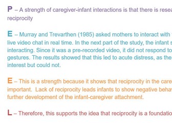 A Level AQA Psychology - Attachment Essay Plans
