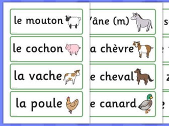 French Planning KS2 - 1 full term - Animals and Colours