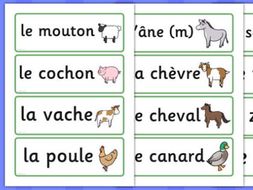 French Planning KS2 - 1 full term - Animals and Colours | Teaching ...