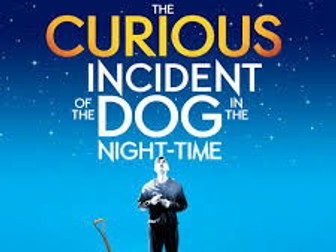 CURIOUS INCIDENT OF THE DOG - SAMPLE ESSAY