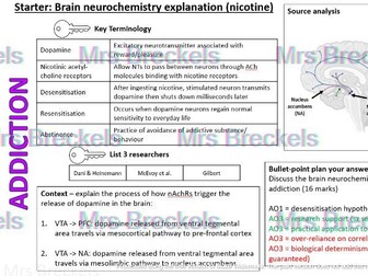 Addiction (AQA A-level Psychology 2025-) - Recap starter/do now worksheets with answers