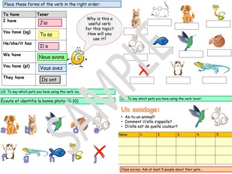 French lesson on animals- les animaux