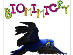 STEM - Biomimicry for Young Children - Rainforest