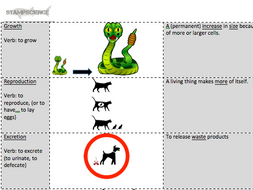 Life processes EAL worksheets | Teaching Resources