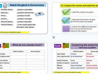 Nerves Vs Hormones GCSE Combined Science AQA