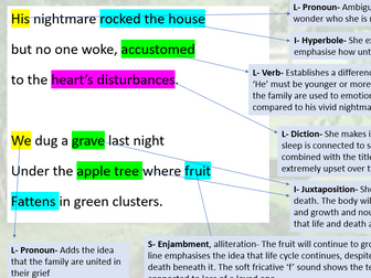 Death of a Cat by Gillian Clarke