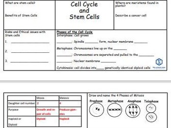 B2 Cell Cycle & Mitosis Revision Mat – Simplify GCSE Biology with This Engaging Resource!