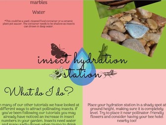 EAL Gardening Craft Activity - Insect Hydration Station