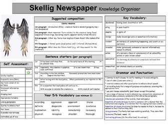Skellig Newspaper article Knowledge organiser
