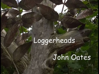 Loggerheads (MP3 & Guitar Score) John Oates