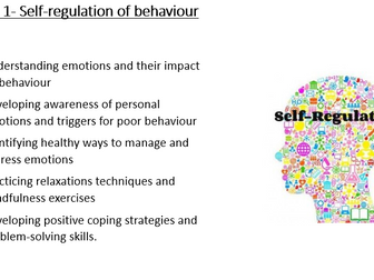 The Behaviour Curriculum