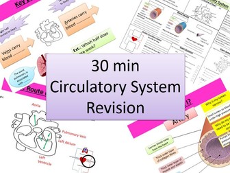 GCSE Bio- Circulatory System in 30 mins