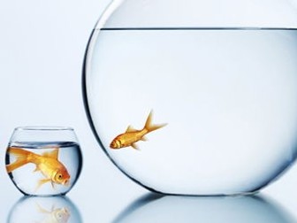 COMPARING THINGS in Spanish