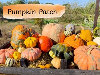 Pumpkin Patch Playdough Mats