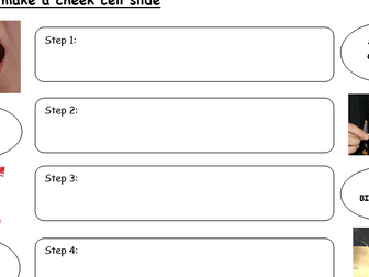 Making microscope slides - onion cell slide and cheek cell slide. Method sheets