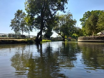 A Comprehensive Creative Writing Course