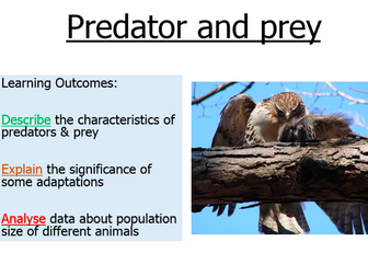 KS3 Predator -Prey Presentation
