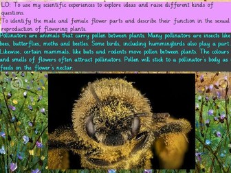 Science: Life Cycles year 5 (seven lesson unit)