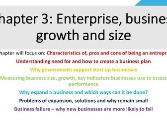 Cambridge IGCSE Business Studies Unit 1.3 Enterprise