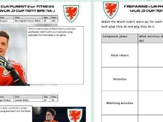 Football World Cup - Wales worksheets
