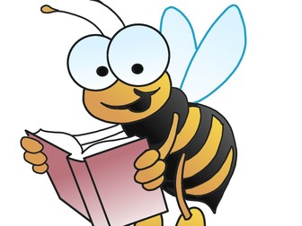 Spelling Bee (Year 7-10)