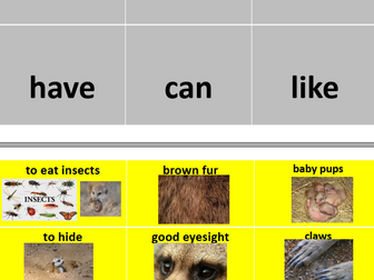 Meerkats colourful semantics