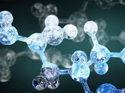 Biology Module 2.2 - Biological Molecules - OCR Revision Packs