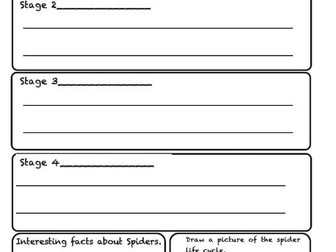 Explanation Text Template - KS2