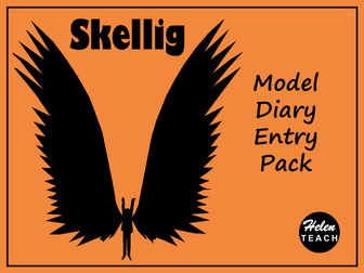 Skellig Diary Entry Model Text Pack