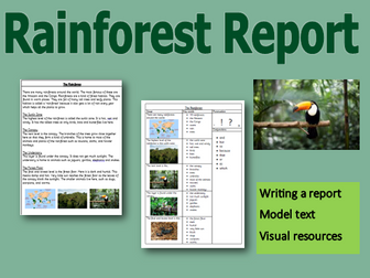 Rainforest Non Fiction Report Writing