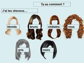 Introduction Hair and Eye Colour French